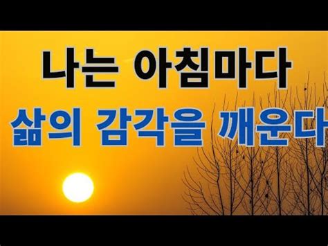 나는 아침마다 삶의 감각을 깨운다