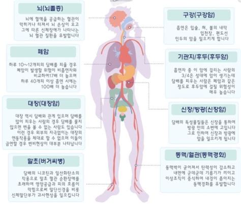 담배연기가 인체에 미치는 영향