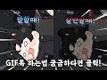 디스코드 말할때마다 움직이는 프사