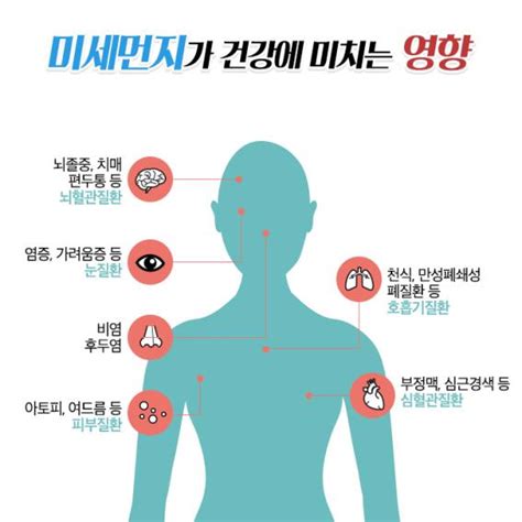 미세먼지 건강에 미치는 영향