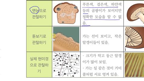 버섯 곰팡이와 같은 생물을 뭐라고하나요