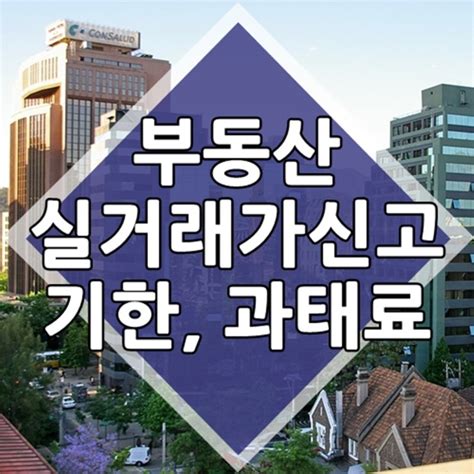 부동산 실거래가 신고 과태료