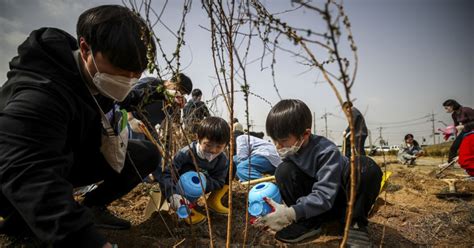 사막화를 막기 위한 국가의 노력