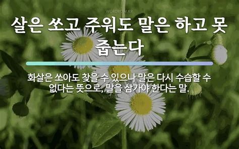 살은 쏘고 주워도 말은 하고 못 줍는다