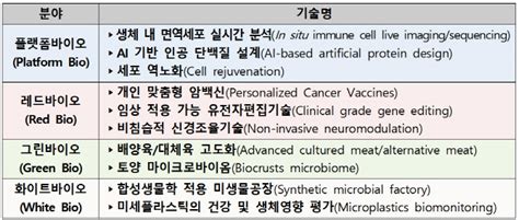 생체 내 면역세포 실시간 분석