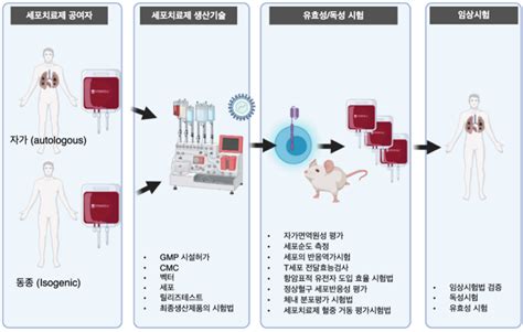 세포치료제 품질관리 시험항목 설정 가이드라인 폐지