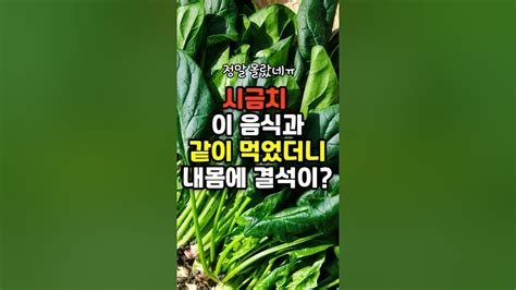 시금치와 같이 먹으면 안되는 음식