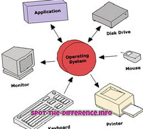 시스템 소프트웨어와 응용 소프트웨어 차이점