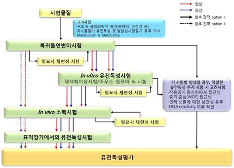 시험동물을 이용한 체세포 유전독성