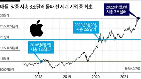 애플 시총