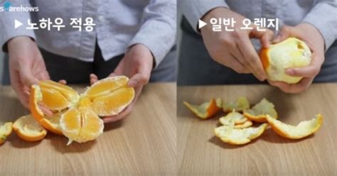 오렌지 껍질 쉽게 까는 방법