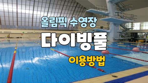 올림픽수영장 잠수풀