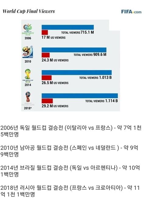 월드컵 결승전 시청자수