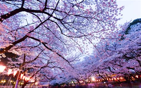 일본 여행지 추천 봄 여름 가을 겨울
