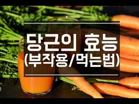 줌줌 먹는 방법과 효과적인 방법