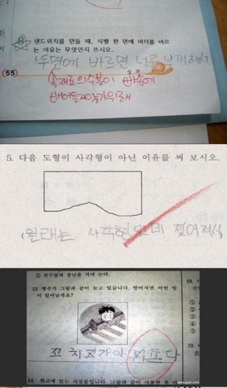 초등티셀파 시험 문제와 해설