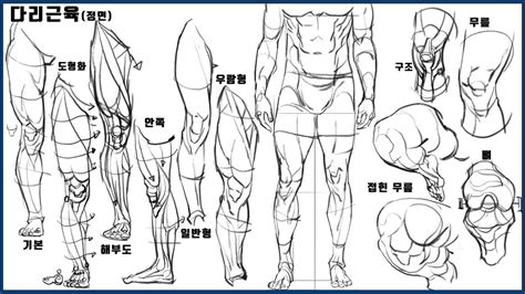 쿠루야쿠 몸 팔 치마 다리 翻訳