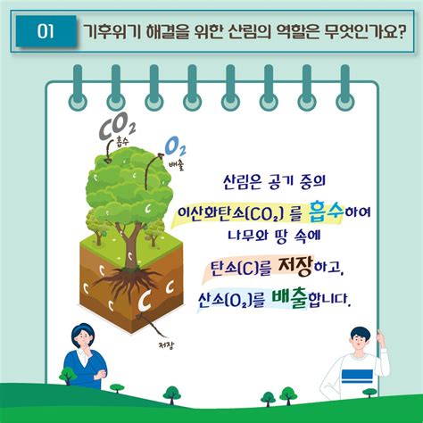 탄소중립과 산림의 역할 답안