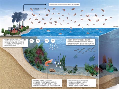 해양오염이 생물에 미치는 영향