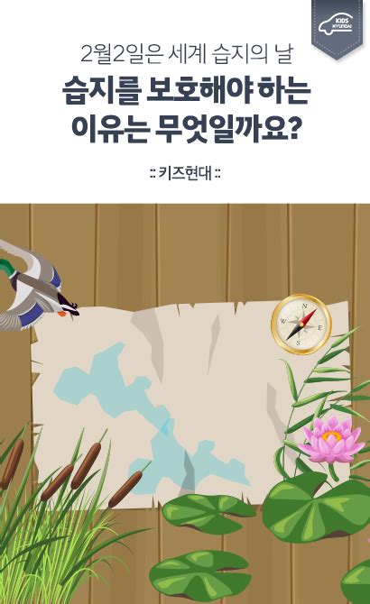 환경을 보호해야 하는 이유와 교육