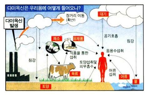 환경호르몬이 환경에 미치는 영향