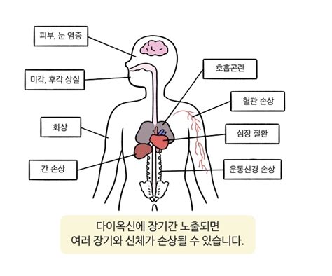 환경호르몬 인체에 미치는 영향