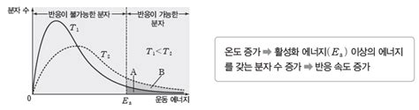 효소 반응 속도에 영향을 미치는 요인