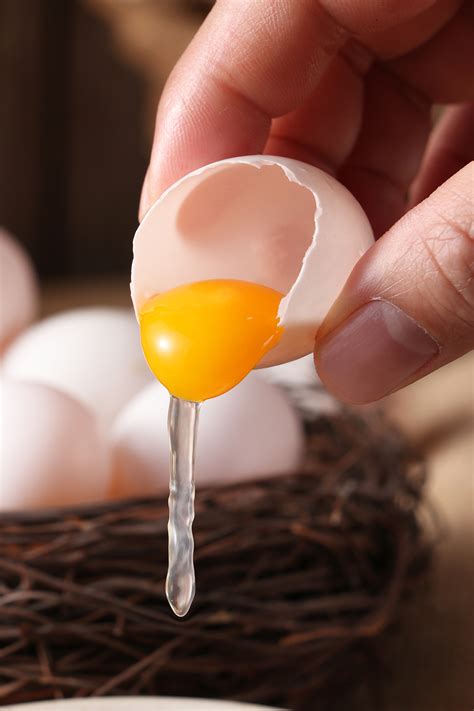 卵黄から摂取できる栄養素