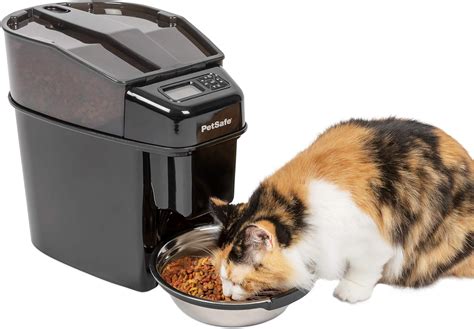 Top 5 Cat Treat Dispensers for Automatic Feeding