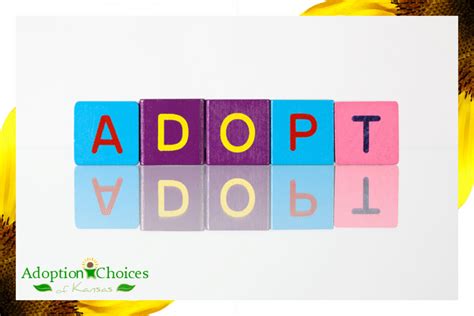 anss adoption