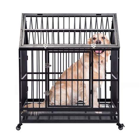 cage free farming