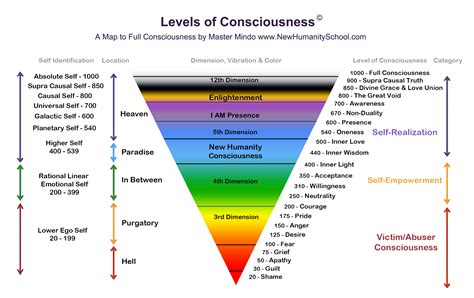 level of consciousness