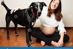 pregnant woman with animals