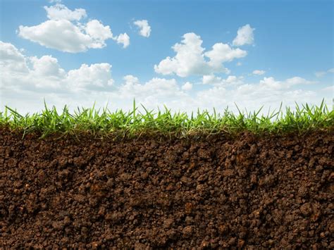 the importance of soil