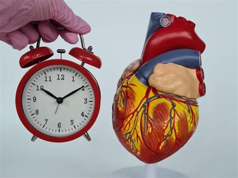    Decoding the Clock: How Doctors Estimate Lifespan and What It Means for You