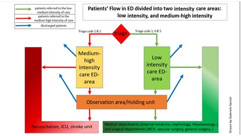    Decoding the ER: A Deep Dive into Hospital Triage Systems