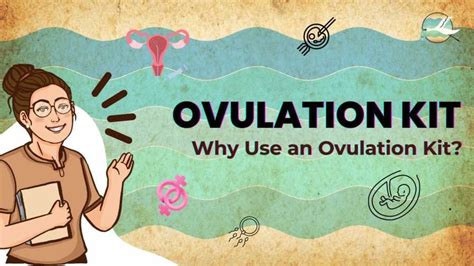    Unlock Your Fertility: A Comprehensive Guide to Ovulation, Signs, and Tracking Methods