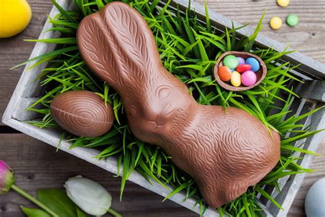 Conserver lapin au chocolat