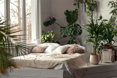 Plants in Bedroom