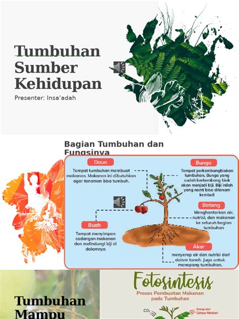Sumber Kehidupan