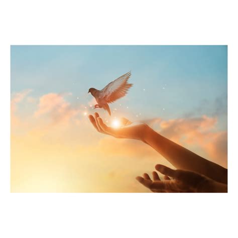 A Symbol of Hope