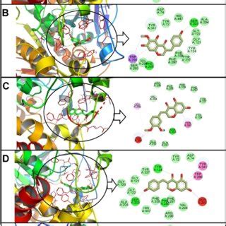 Camera-On for Key Interactions