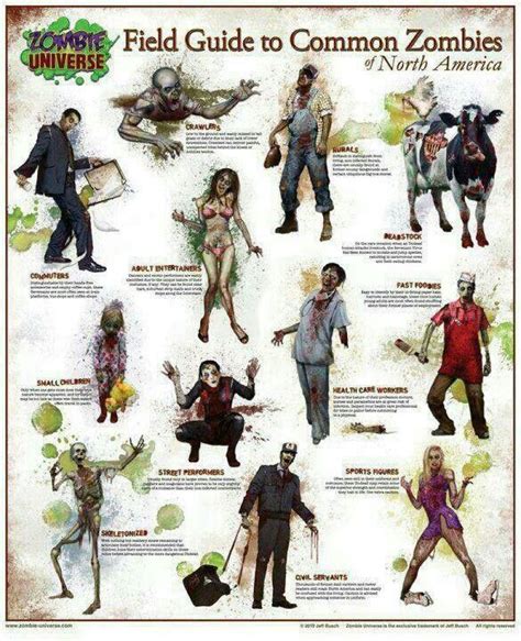 Image showcasing different types of zombies
