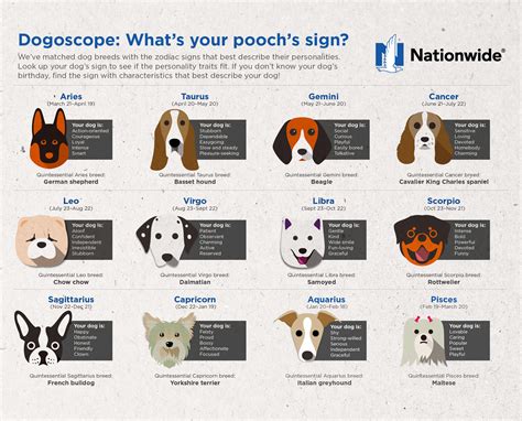 Dog Zodiac Sign Health