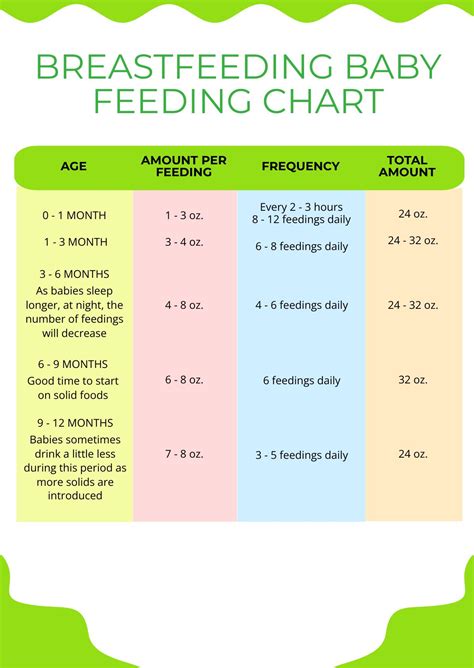Feeding the British Shorthair NY11