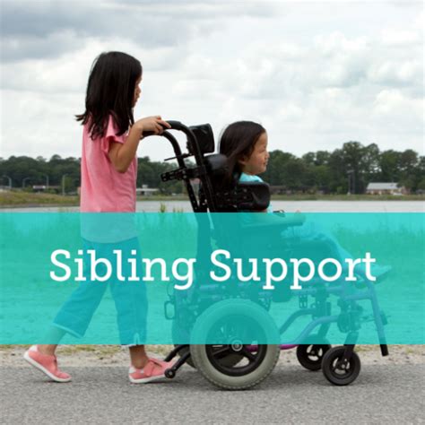 How to Provide Support to Your Sibling