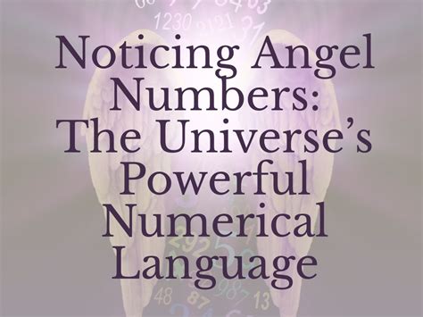 Numbers are the language of the universe.