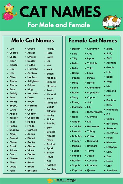 Popular Cat Names