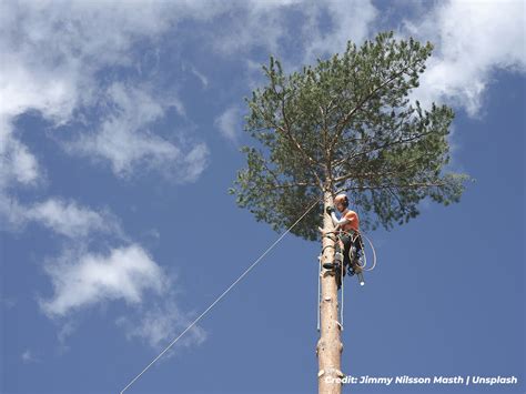 Prevent Future Damage