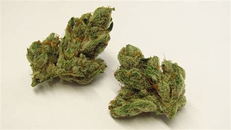 Wedding Pie Strain Buds